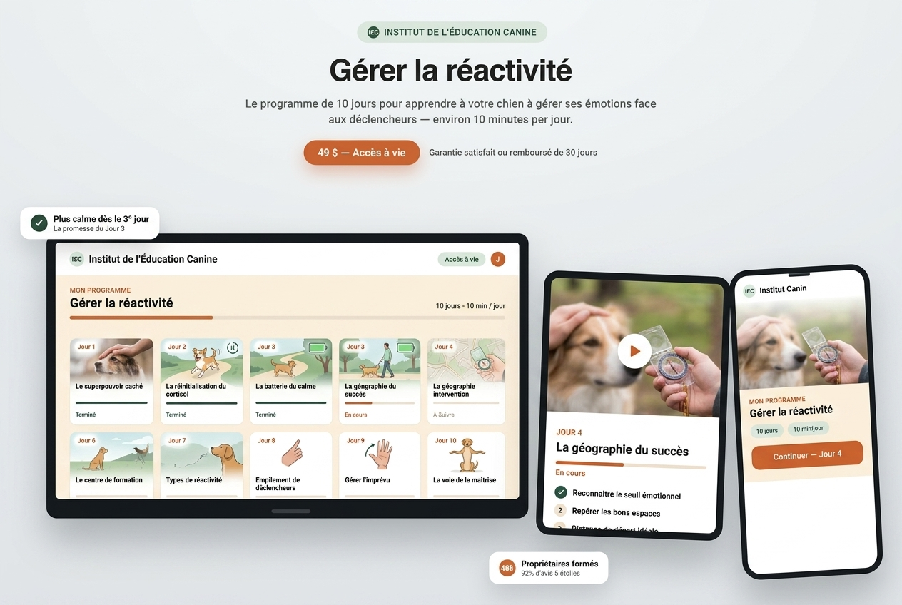 Mockup du programme Gérer la réactivité sur ordinateur, tablette et mobile